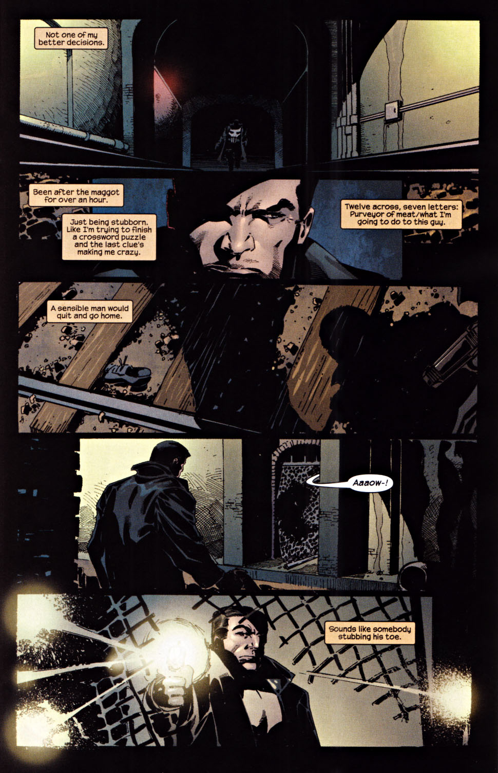 The Punisher (2001) Issue #24 - Hidden #01 #24 - English 10