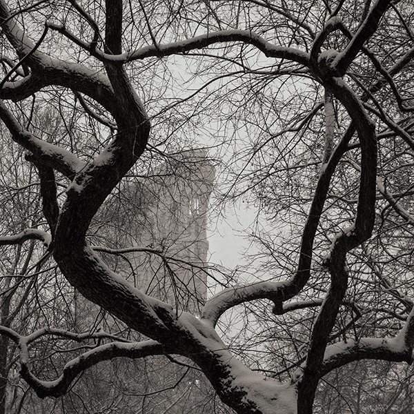 About Photography Stieglitz, the 291 Gallery homage from my Fuji XT1