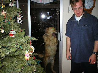 Foto divertida de perro queriendo entrar a casa