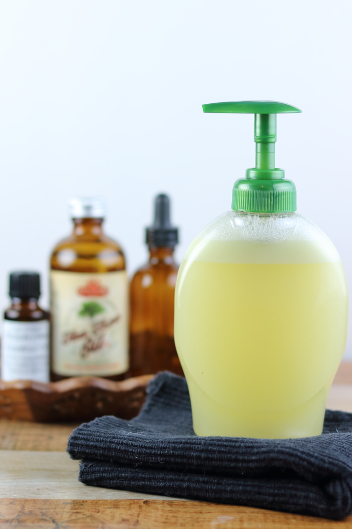 DIY Liquid Hand Soap Recipe for Eczema Everything Pretty
