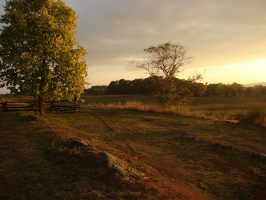 Antietam's Cornfield at Sunrise