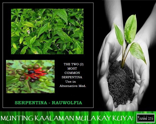 Halamang Gamot Sakit Learn Treat Your Self Ano Ba Ang