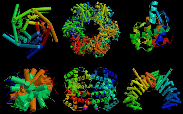 Proteinas y biologia