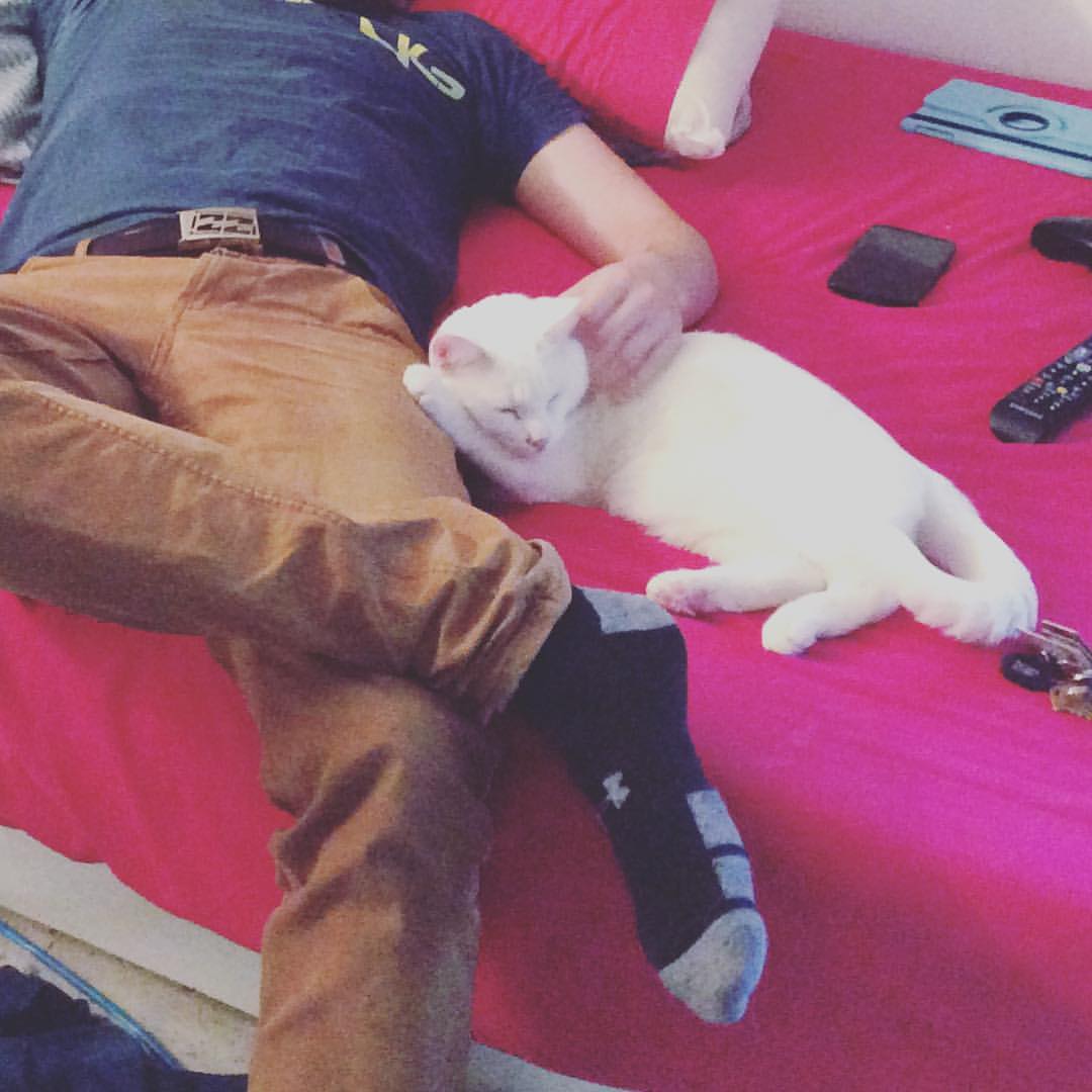 5 raisons d'adopter un chat dans un refuge (En bonus, 2 5 raisons d'adopter un chat dans un refuge (En bonus, 2