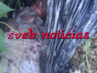 Narcotrafico:Tiran cuerpo ejecutado y embolsado en Poza Rica Veracruz