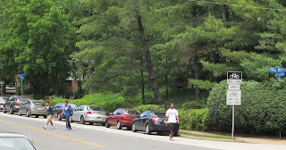 the Annandale Blog: New task force will address student parking on