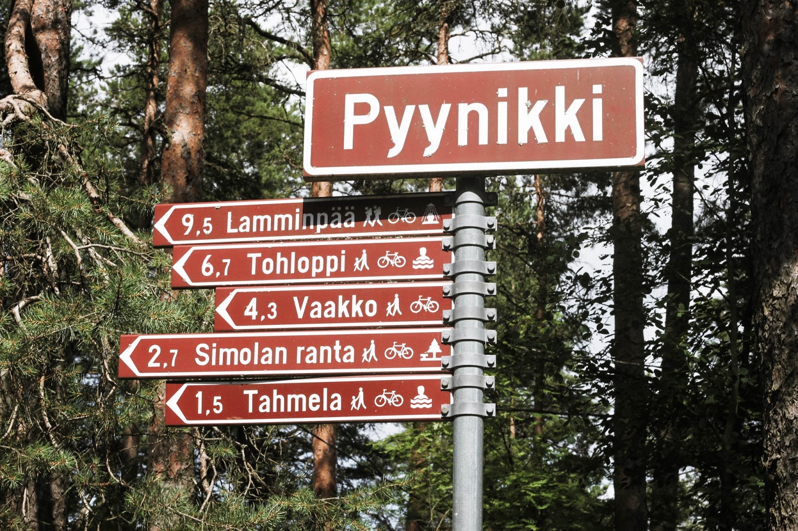 pyynikin näkötorni