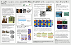visual poster posters making nelson interview business specialist karen charged kinds