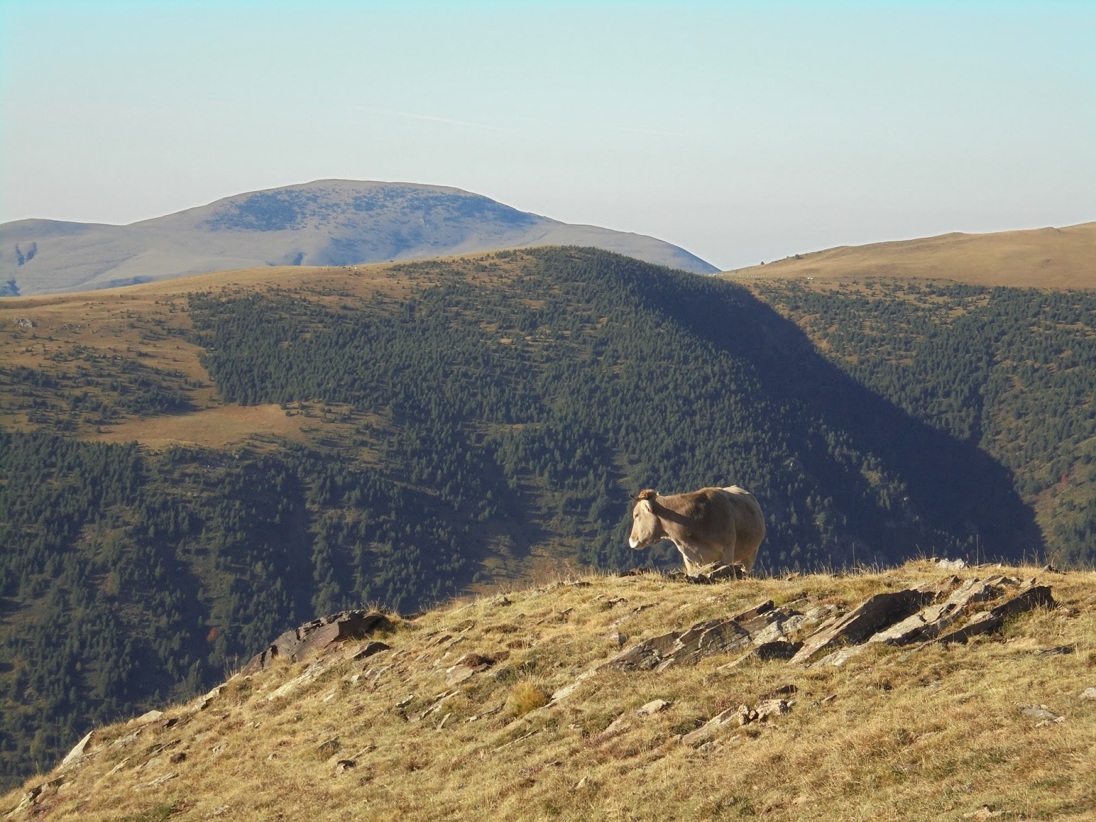 MUNTANYA Tregurà de Dalt. Coll de la Gralla, 1952m , puig de