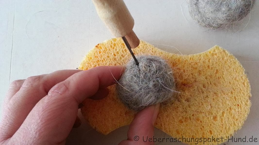 Überraschungspaket Hund ein Hundeblog der zeigt, wie unterschiedlich