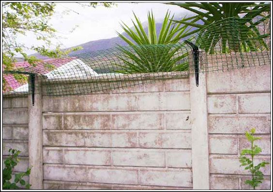 Evde Kediniz Varsa Yazın Kapı Pencere Nasıl Açılır?