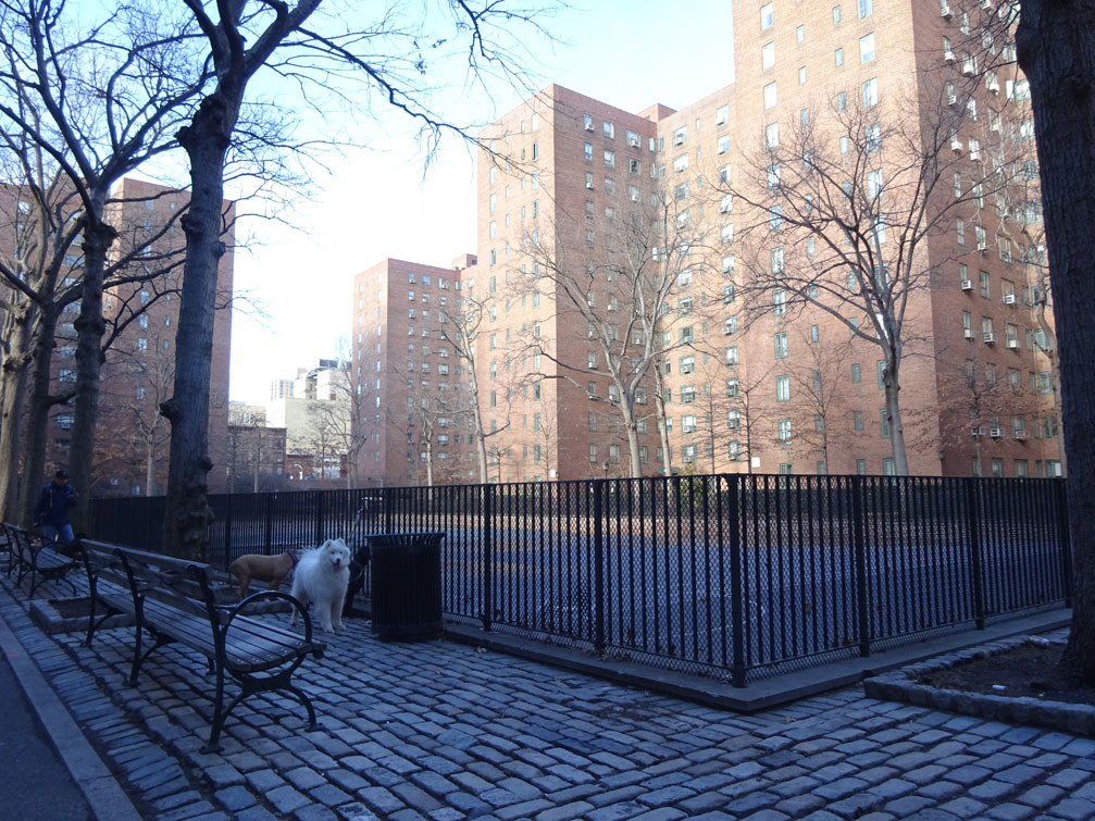 The Stuyvesant Town Report Photos Around the "New" Playground
