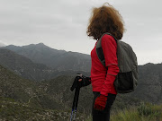 Monster Energy Ear Gauges