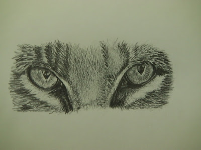 Wildlife drawing and sketching Wildlife drawing and sketching