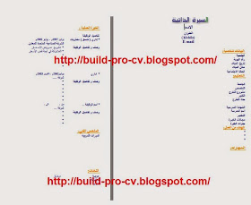 كتابة السيرة الذاتية CV باحتراف | أول خطوة لوظيفة مرموق ...