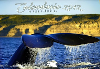 Calendario 2012 de Patagonia - Nuevo Lanzamiento de Andrés Bonetti 