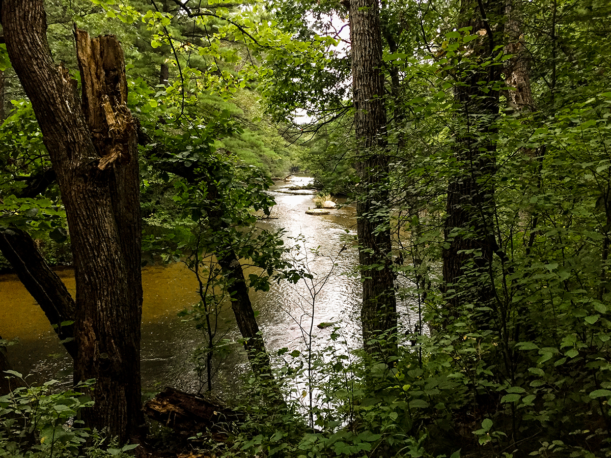 Waupaca River on the Waupaca River Segment of the Ice Age Trail