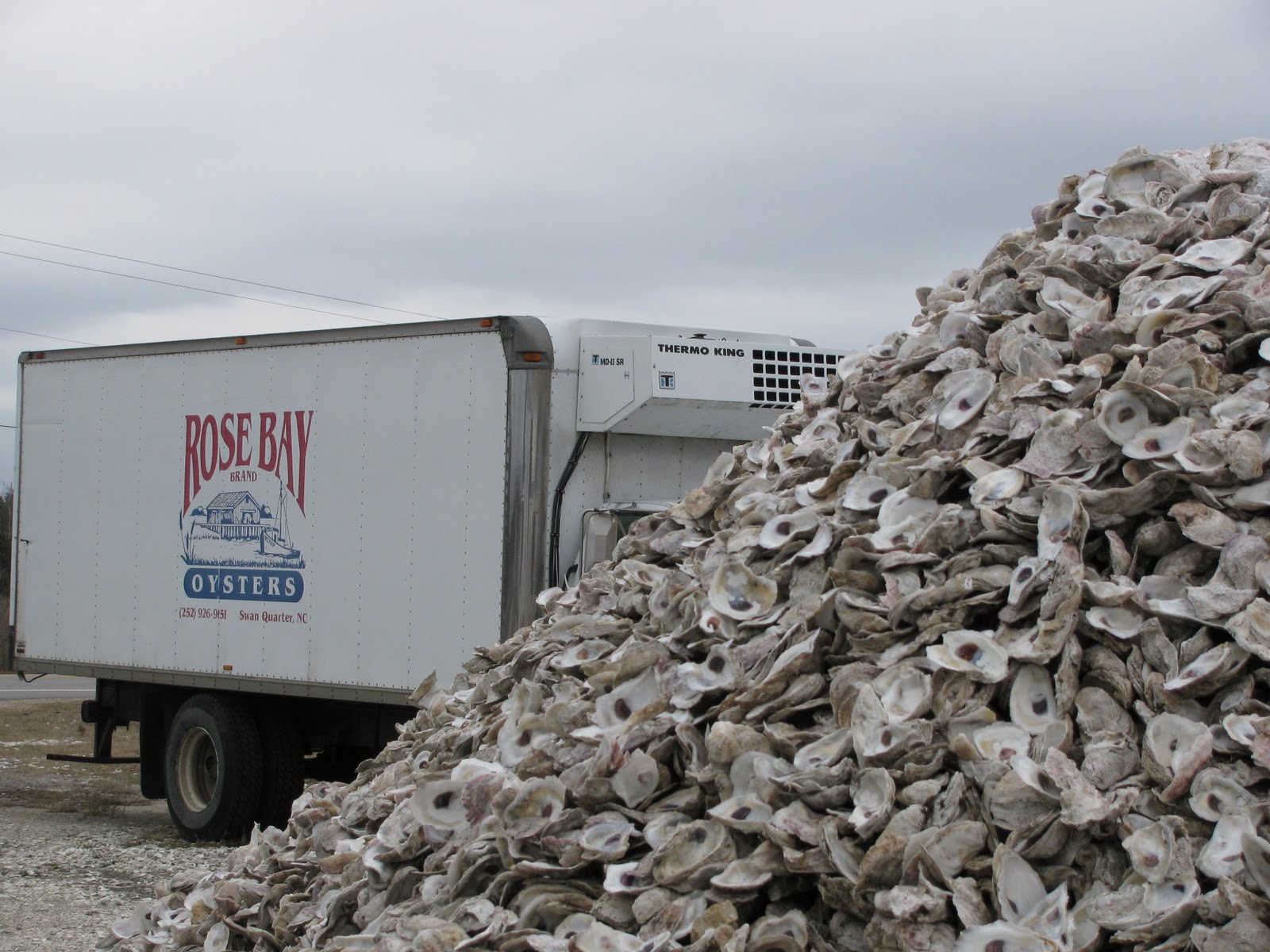 Carolina Foodie SWAN LAKE & OYSTERS A GREAT, LOCAL HOLIDAY TREAT
