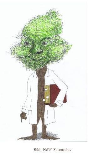 Das Leben Ist Bunt Es Geht Weiter Ich Bin Soweit