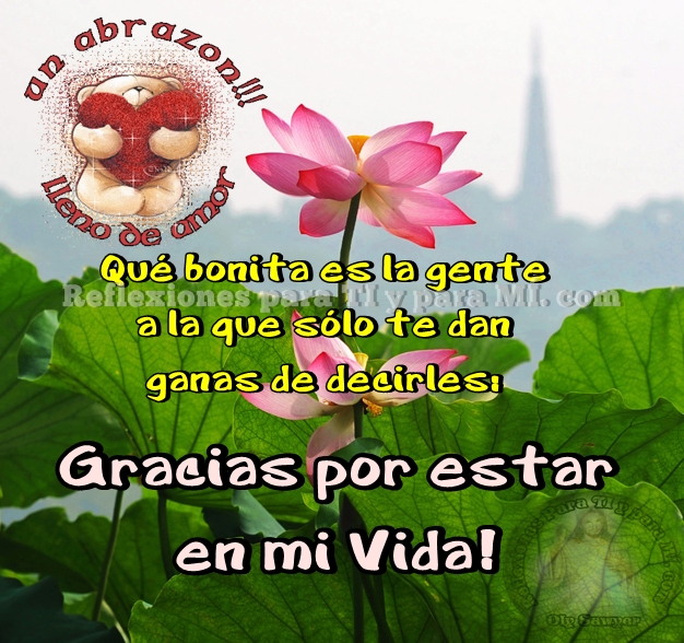 Resultado de imagen para gracias por estar