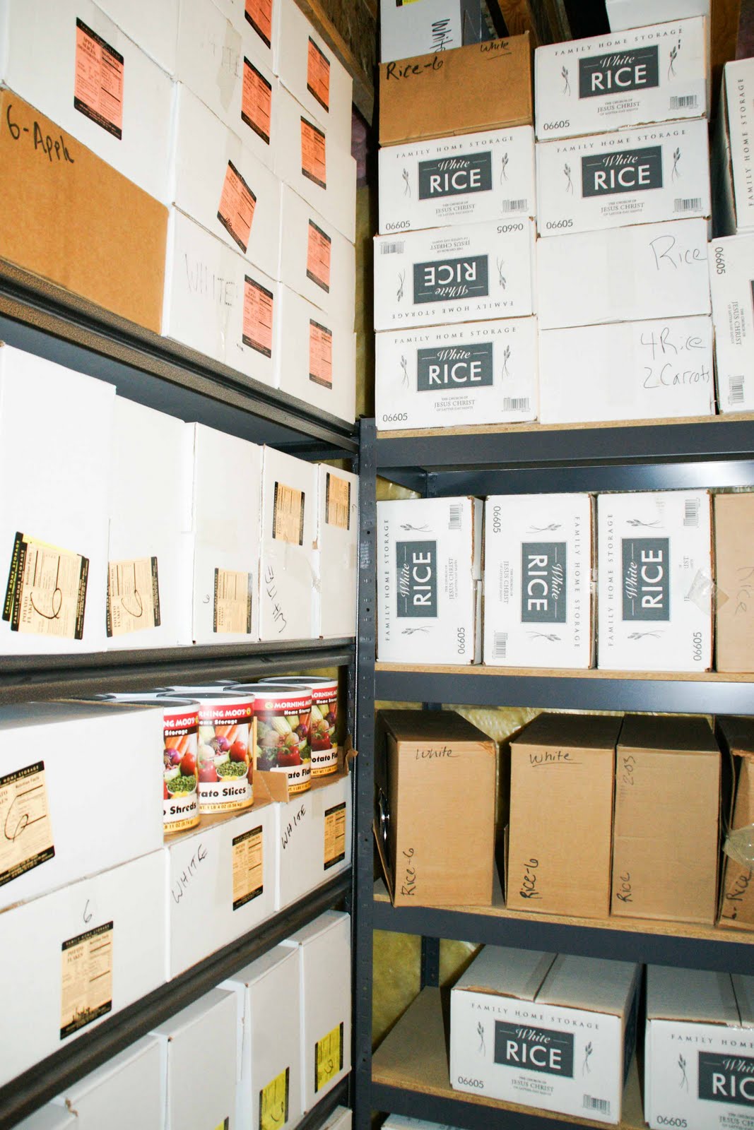 Visiting Teaching Tips, Handouts and Ideas Provident Living / Food