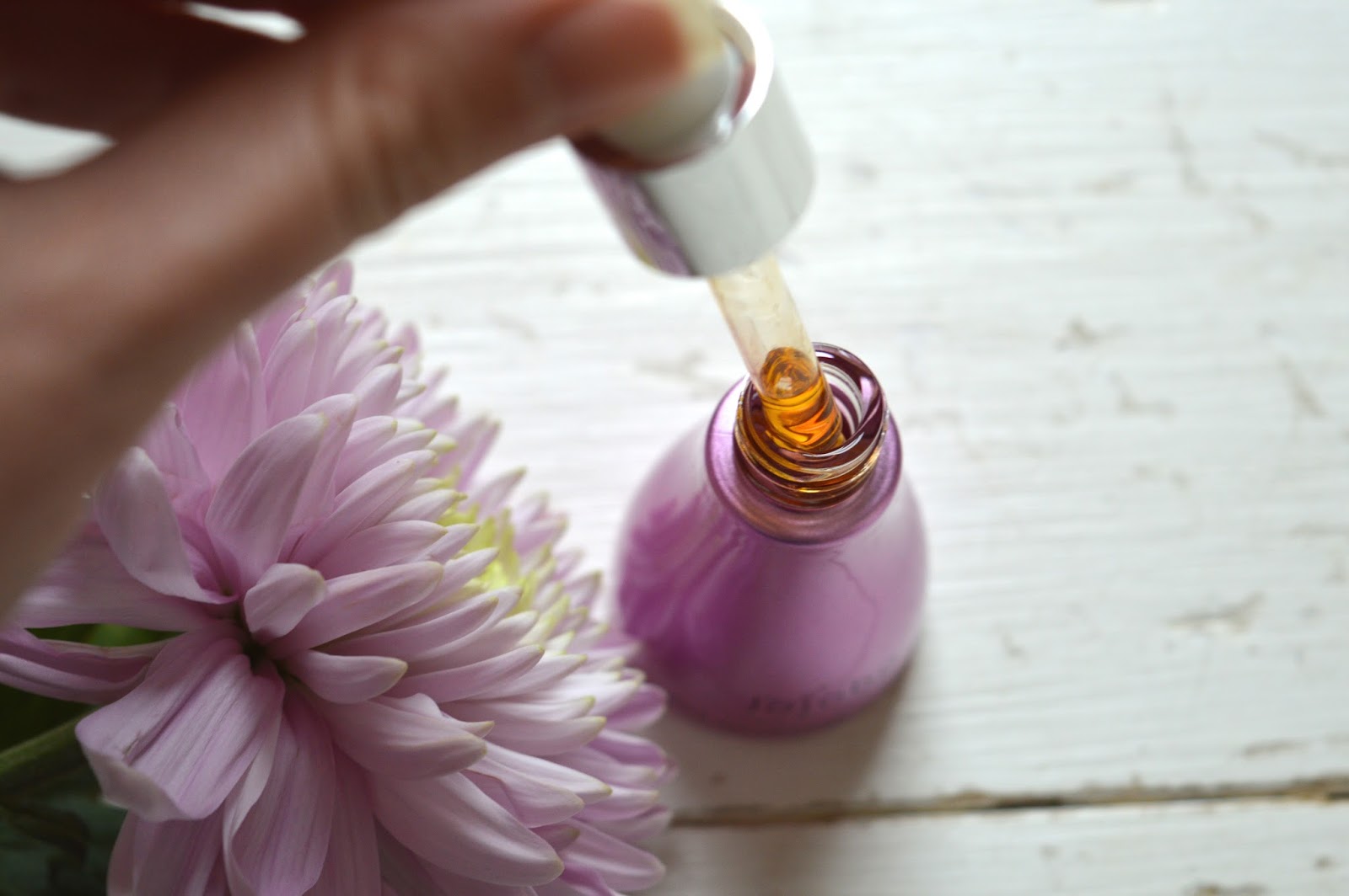 The Jojoba Company Oil Review, jojoba oil review, beauty bloggers, UK beauty blog