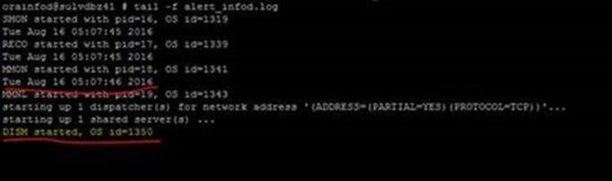check database startup time oracle check database startup time oracle