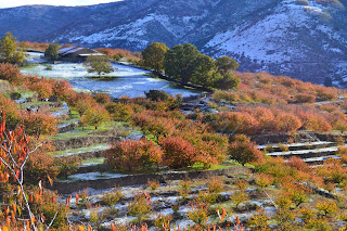 otoño en el valle del jerte