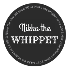 Nikko the Whippet