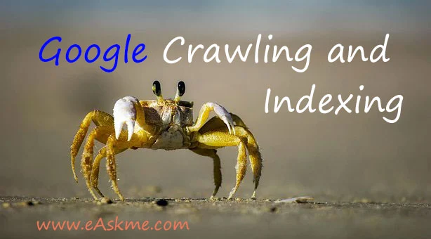 Crawlability: On-Site SEO factors that Matter the Most: eAskme