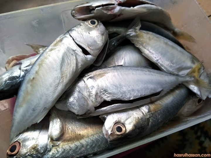 Ikan Kembong RM5 Sekilogram