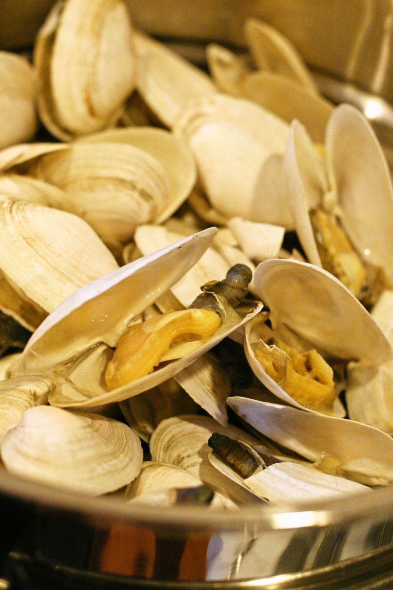 Perfectly imperfect New England Steamers