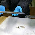 Блестящ и смъртоносно остър. Китайски археолози откриха отлично запазен меч на над 2300 години