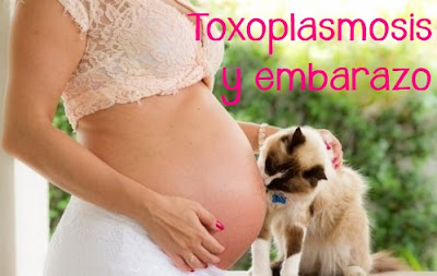 La toxoplasmosis. Esa gran desconocida