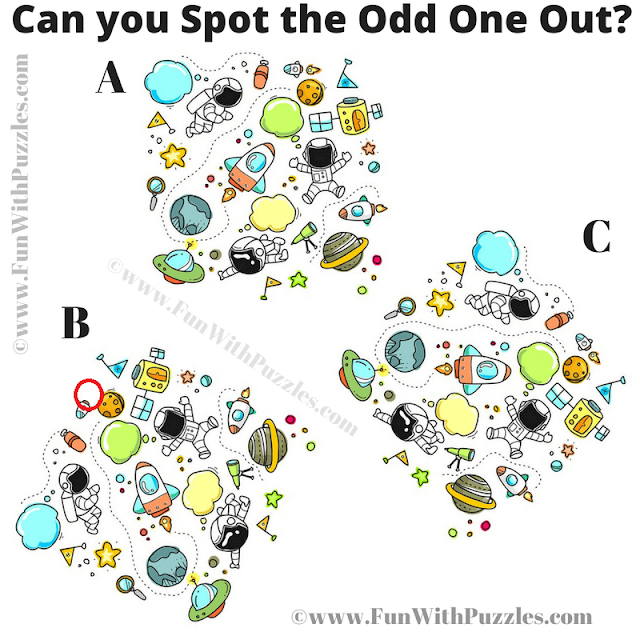 Answer of Spot the Odd One Out Doodle Picture Riddle for Kids