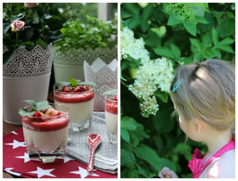 Holunderblüten Panna Cotta mit Erdbeerspiegel - Sasibella