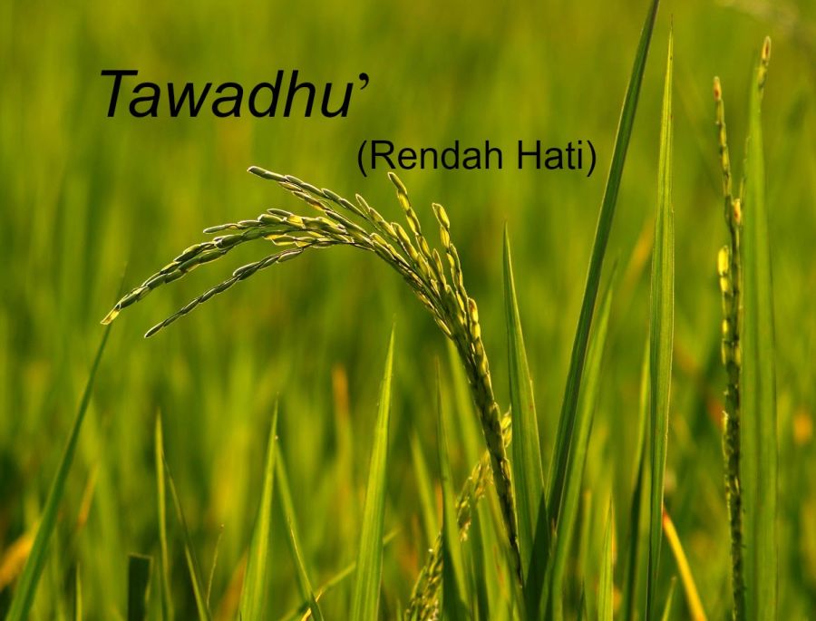 Hadits tentang Rendah Hati - Islam is The Best