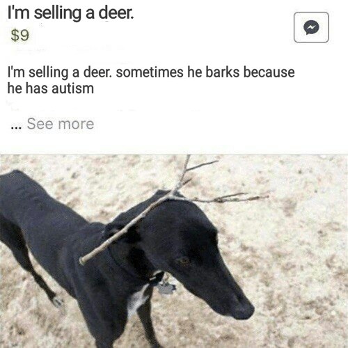 I'm selling a deer. Sometimes he barks because he has autism