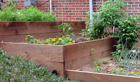 diy Design Fanatic: How Does Your Garden Grow...