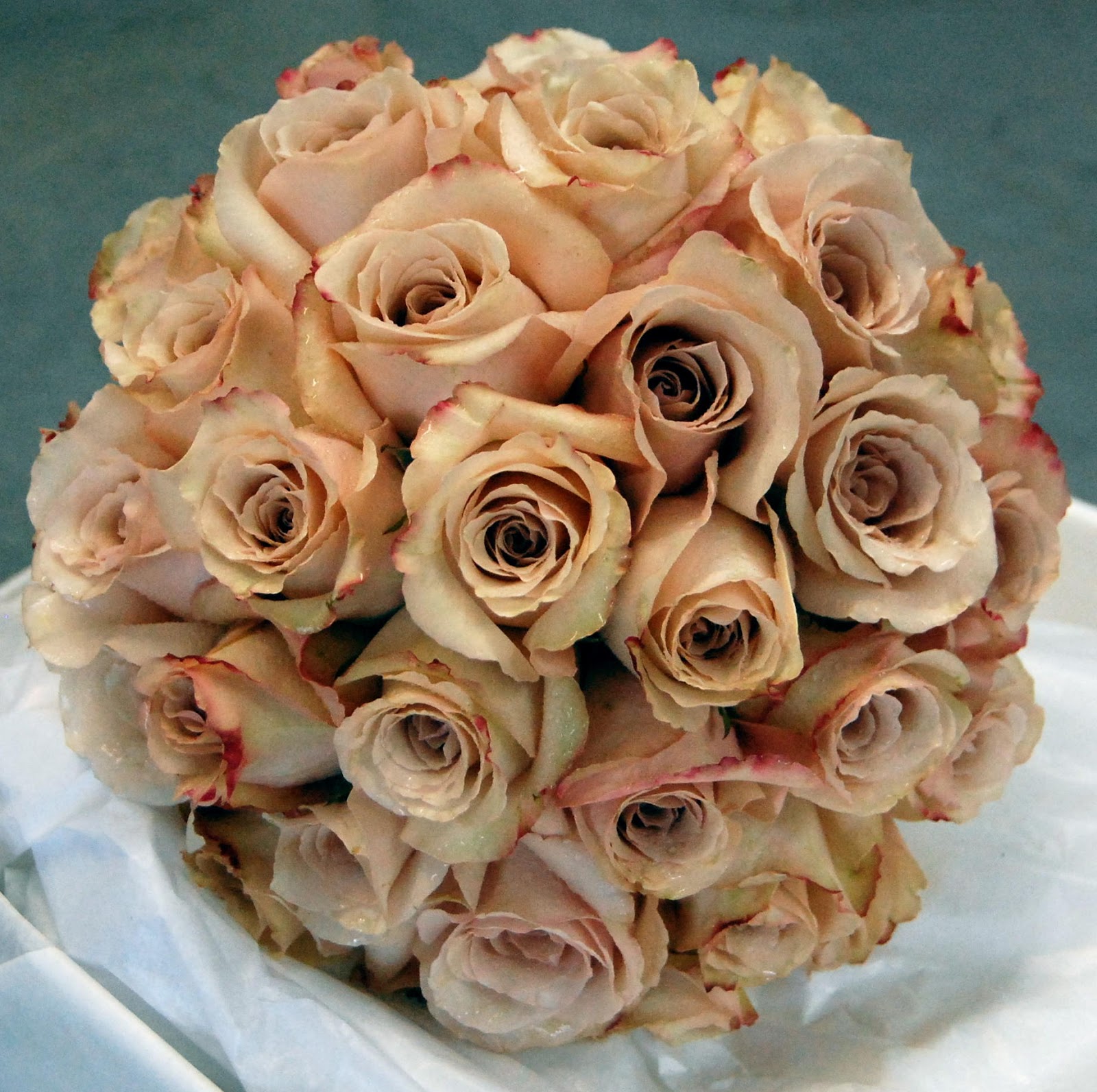 Mood Flowers Quicksand Roses