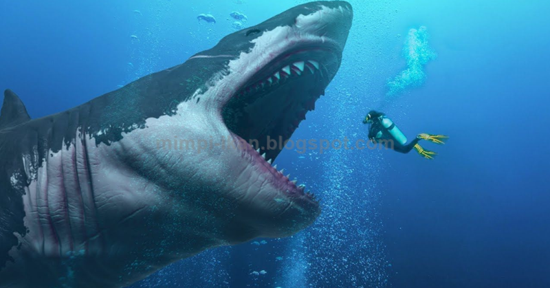 Arti Dan Makna Mimpi Melihat Dan Dikejar Ikan Hiu Menurut Primbon Jawa Dan Tafsir Islam Lengkap Primbon Mimpi Ikan