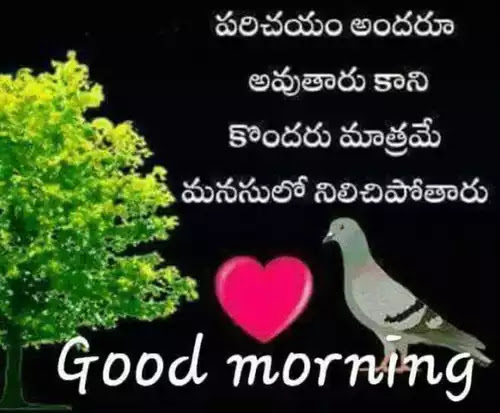 310 Good Morning Telugu Images With Quotes 2020 Wishes Sms