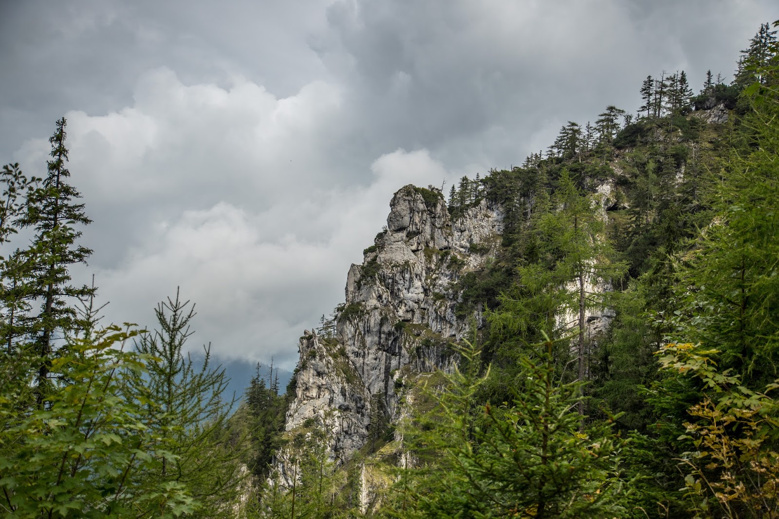 Familienwanderung In Ruhpolding Marchenwald Und Freizeitpark