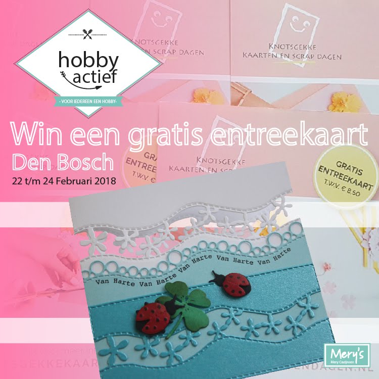 Mery Cozijnsen Knotsgekke kaarten dagen