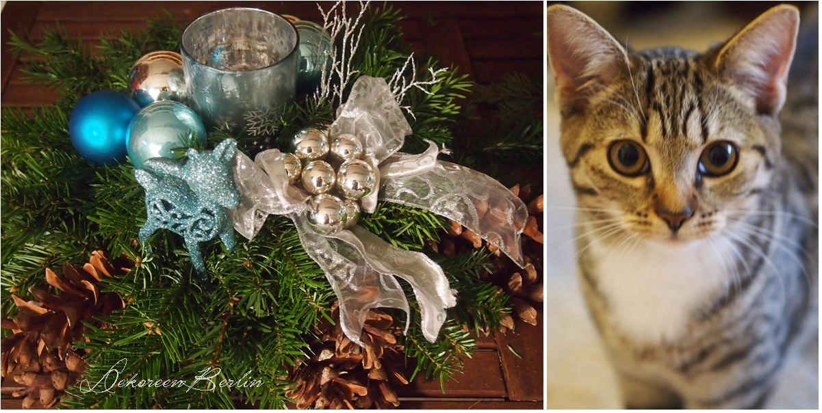 DekOreenBerlin: Wie ich beinahe die Katze um die Ecke gebracht hätte