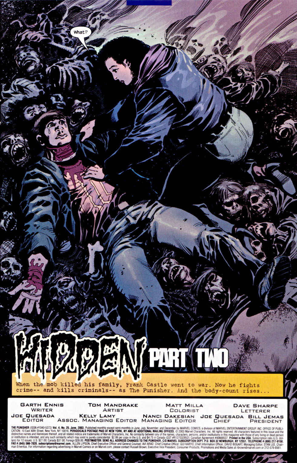 The Punisher (2001) Issue #25 - Hidden #02 #25 - English 4