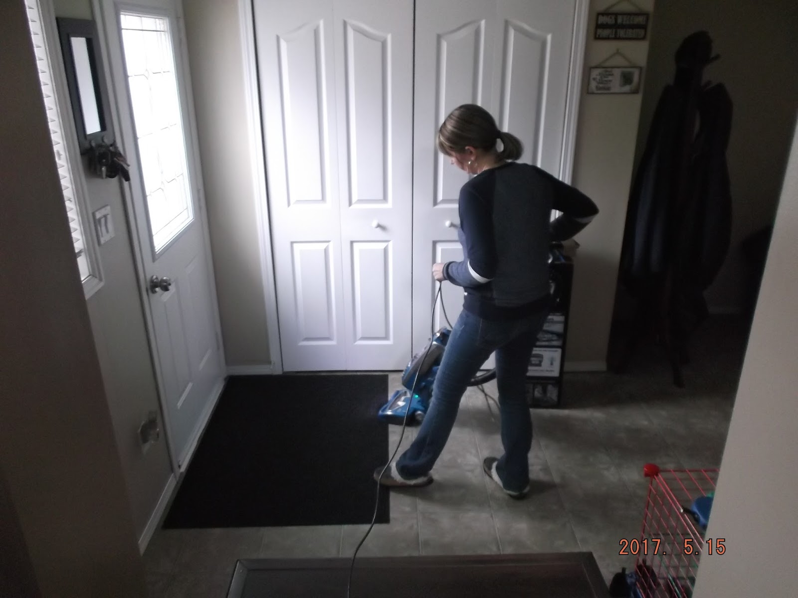 The One Dollar How To Choose a Home Vacuum Featuring the Shark