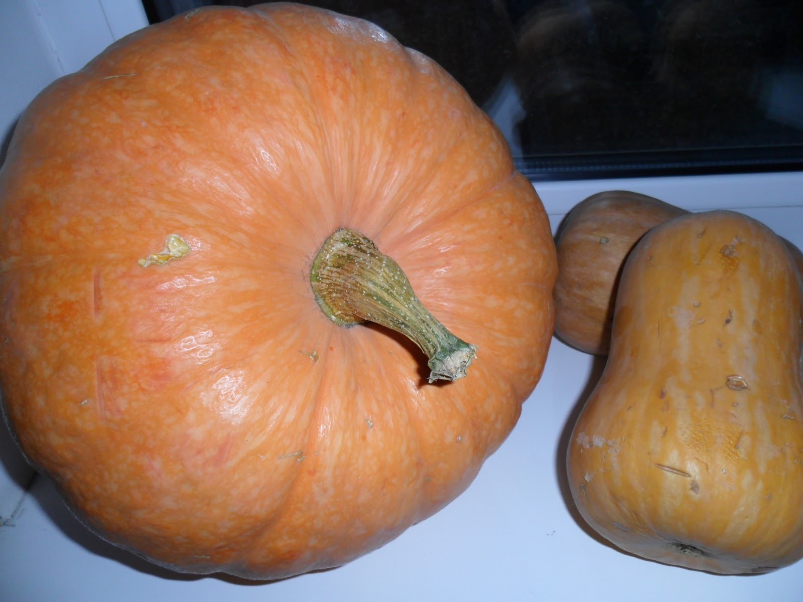 МираДом: ТыкАФки)))