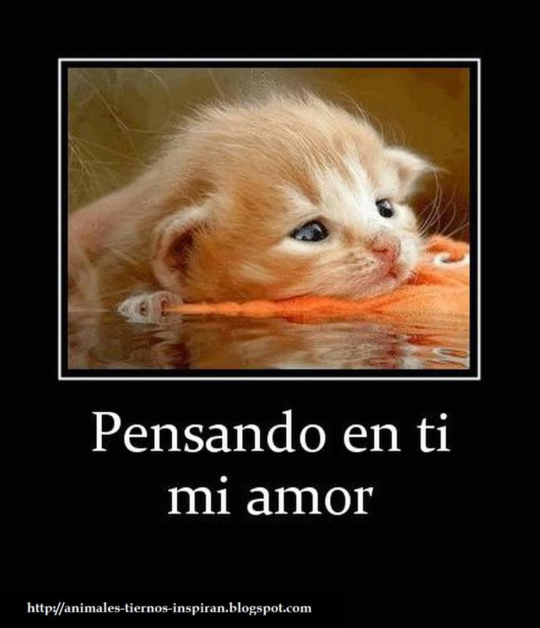 Animales Tiernos Inspiran: Carteles y mensajes lindos