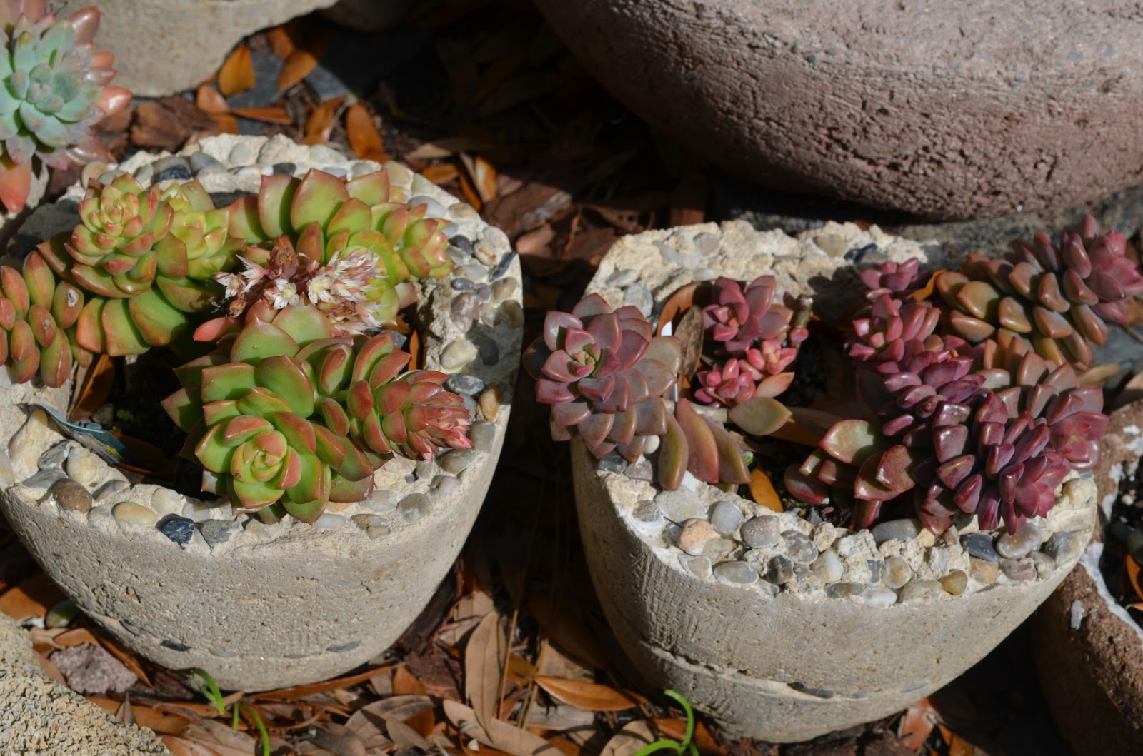 Cypress Gardens The Gardeners Blog Garden Ornaments Workshops Hypertufa